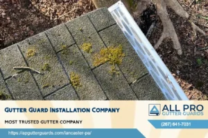 All Pro Gutter Guards Enhances Seamless Gutter Installation Process