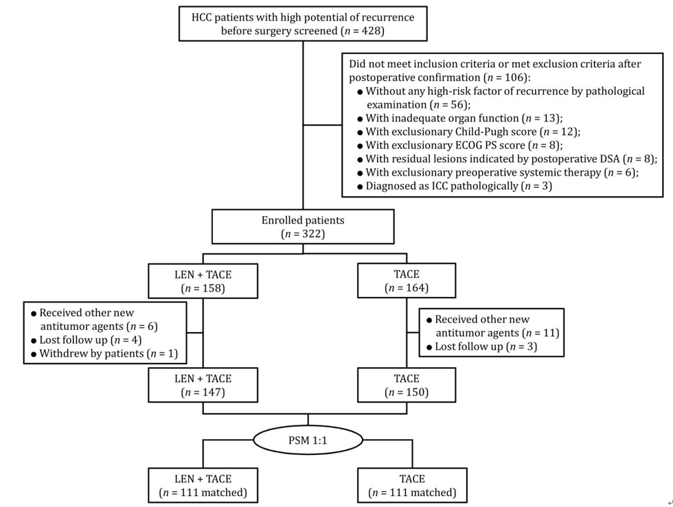 Post-surgery strategy shows promise in delaying liver cancer recurrence